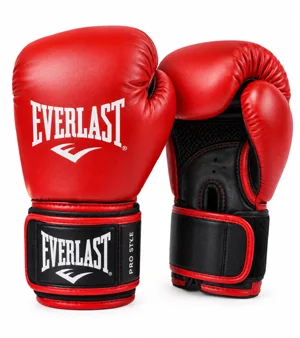 Everlast Pro Style Boxing Gloves
